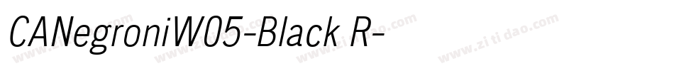 CANegroniW05-Black R字体转换